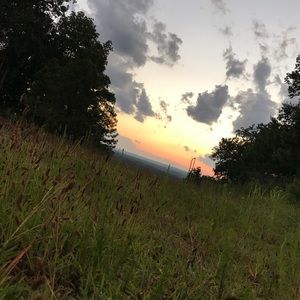 Meet your Posher, Payton